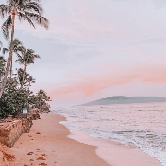 Meet your Posher, A d d y s o n - Picture 1 of 1